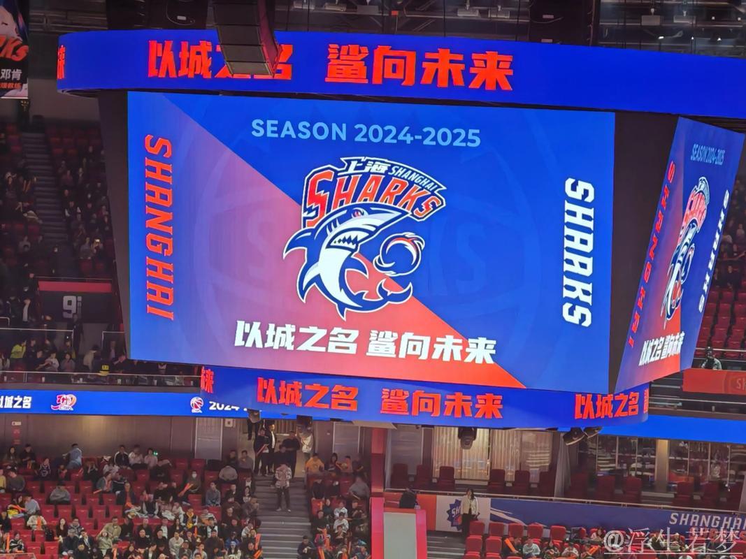 上海男篮战歌《鲨向未来(Go Sharks!)》正式上线 上海男篮战歌《鲨向未来(Go Sharks!)》正式上线