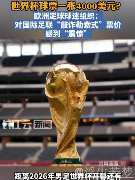 高昂票价引发球迷对世界杯不满